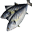 Большой живец