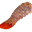 Раковая шейка