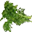 Зелень