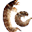 Ручейник